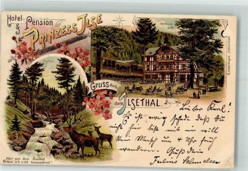 Ilsenburg 1901 Hirsch Rehe Wildbach Hotel-Pension Prinzess Ilse