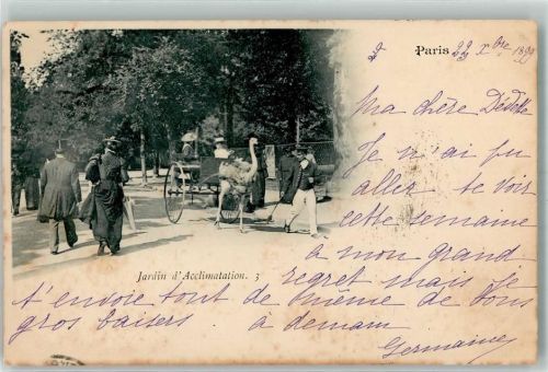 Paris 1899 Strauss Karren