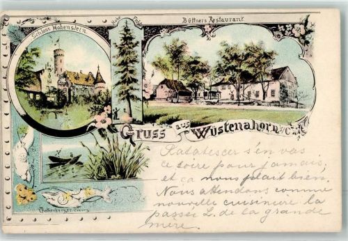 Wüstenahorn 1906 Schloß Hohenstein Gasthaus Büttner Bahnpost Eisenach