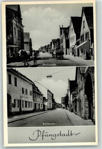 Pfungstadt Rheinstraße Bornstraße Pferd