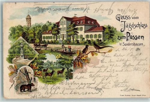 99706 O5400 Sondershausen , Thür 1901 Gebrauchsspuren Jagdschloss Zum Possen Bär Denkmal Hirsch Fasan Lithographie