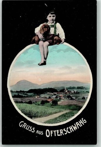 87527 W8972 Ofterschwang 1916 - Junge Dackelwelpen