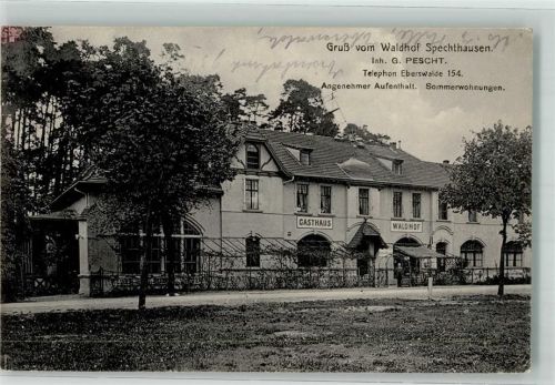 16230 O1301 Spechthausen 1916 Foto AK Gasthaus Waldhof