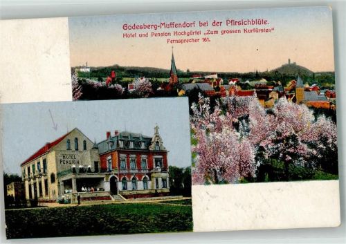 Muffendorf 1918 Hotel Hochgürtel Zum großen Kurfürsten Baumblüte Lazarettstempel