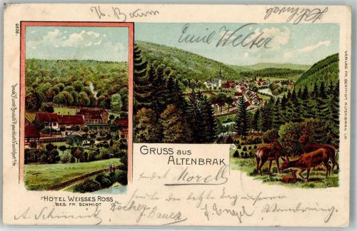 Altenbrak 1903 Hotel Weisses Ross Rehe mit Kitz