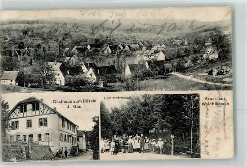 69151 W6903 Waldhilsbach 1907 - Gasthaus Zum Rössle J. Gaul