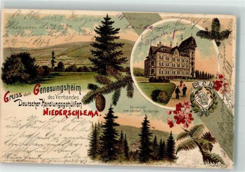 Niederschlema 1902 Rechtes Muldenufer Tannenzapfen Wappen