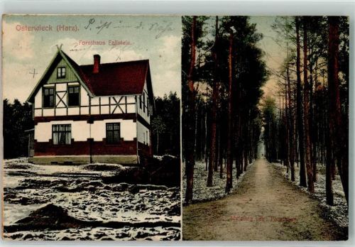 Osterwieck 1913 Waldweg Forsthaus Fallstein