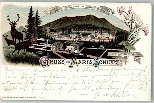 Schottwien 1896 Hotel Bellvevue m. Dependancen u. Villen Maria Schutz