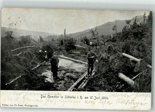 Schierke 1904 Unwetterkatastrophe 17. Juni 1904 Gefällte Bäume
