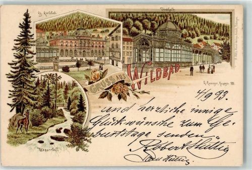 Bad Wildbad 1893 Vorläufer Kg. Karlsbad Wasserfall Trinkhalle Reg Blumen Gruss
