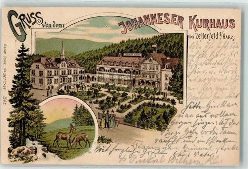 Clausthal-Zellerfeld 1899 Johanneser Kurhaus Parkanlage Rehe