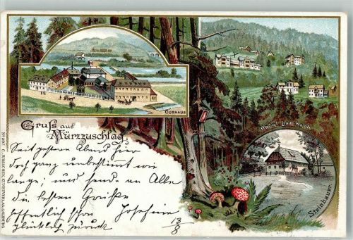 Mürzzuschlag 1897 Kurhaus Hotel Lambach Steinbauer