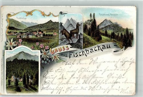 Fischbachau 1901 Gämsen Bayerisches Hochland Birkenstein