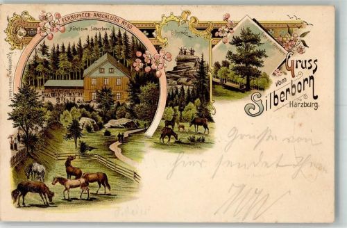Bad Harzburg 1897 Hotel zum Silberborn Elfenstein Fohlenweide Eiche am Silberborn