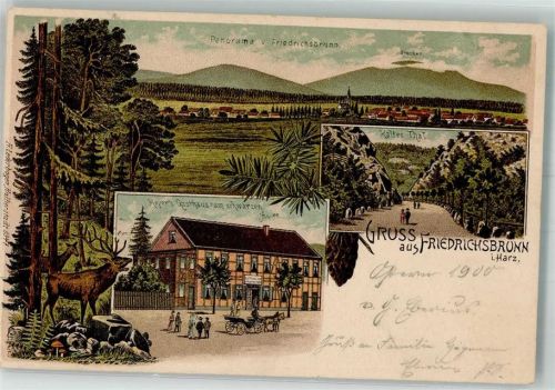 Friedrichsbrunn 1900 Hirsch Fliegenpilze Gasthaus zum schwarzen Adler