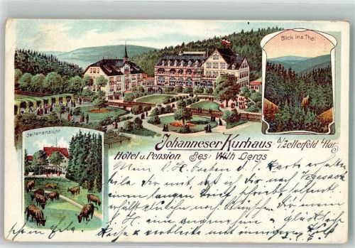 Clausthal-Zellerfeld 1902 Johanneser Kurhaus Rinderweide