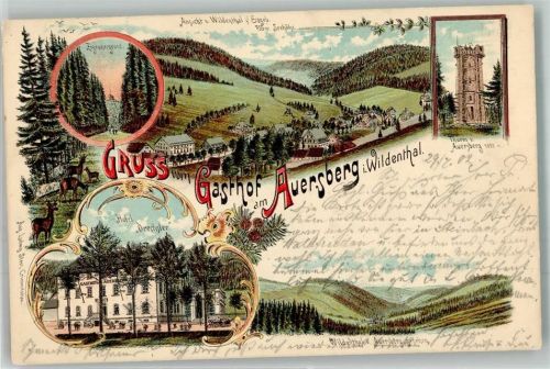 Wildenthal 1902 Auersberg-Turm Hotel Drechsler Zigeunergrund