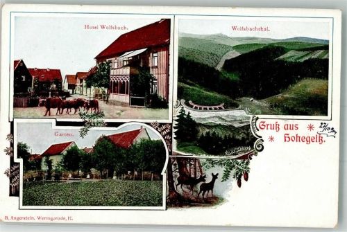 Hohegeiß Hotel Wolfsbach Rindertrieb Wolfsbachtal Dicke Tannen Rehe