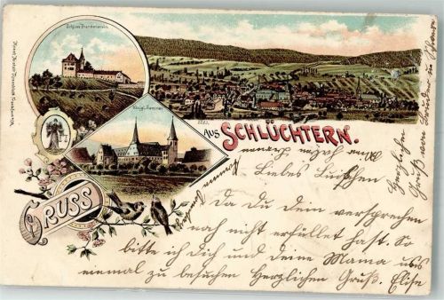 36381 W6490 Schlüchtern 1899 Gebrauchsspuren Lithographie Wappen Vögel Schloß Brandenstein Kgl. Seminar