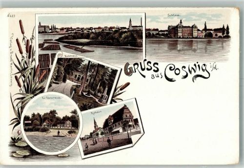 06869 O4522 Coswig , Anh Lithographie Badehaus Zur Elbterrasse Rathaus Schloß Foss