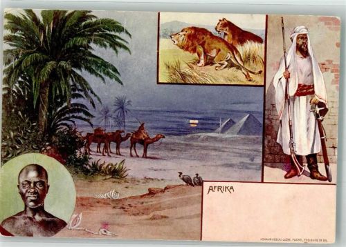 Tracht Kamele Pyramiden Löwen Afrika