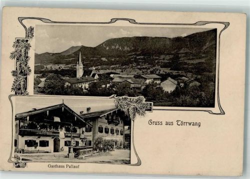Törwang 1912 Gasthaus Pallauf Brunnen Tannenzapfen