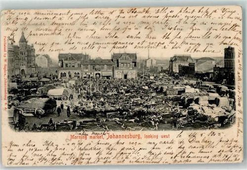 Johannesburg 1905 Morning Market Marktszene Kühe
