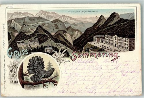 Semmering-Kurort 1897 Südbahn-Hotel a.d. Semmering Auerhahn
