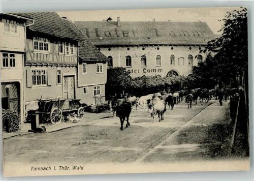 Tambach-Dietharz 1910 Hotel Lamm Rinderauftrieb