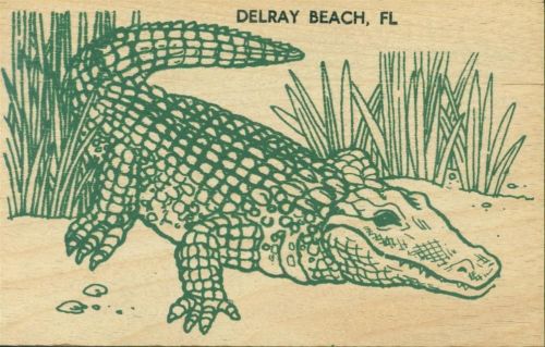 Delray Beach Florida Krokodil