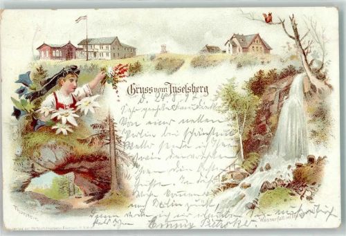 Brotterode 1897 Gruss vom Inselberg Wasserfall Thorstein Blumen Eichhörnchen