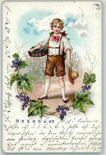1901 Oktober Weinlese Weintrauben AK