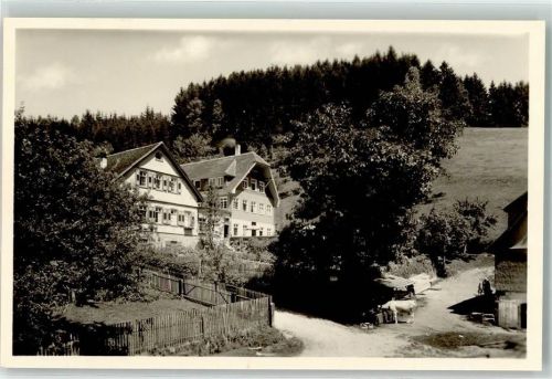 Schwarzenberg Schwarzwaldhaus im Sonnenwinkel Kuh