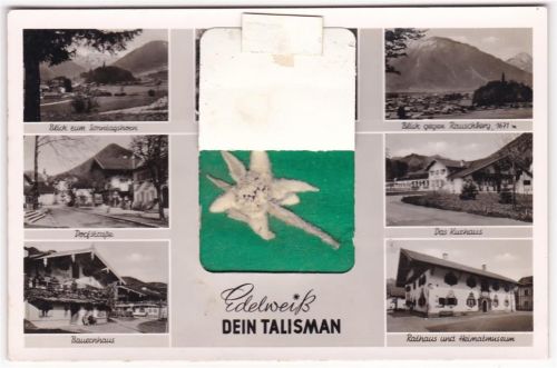 Ruhpolding gepresstes Edelweiss Kurhaus Rathaus Heimatmuseum