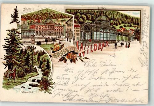 Bad Wildbad 1897 Kgl. Karlsbad Trinkhalle Wasserfall Rehbock