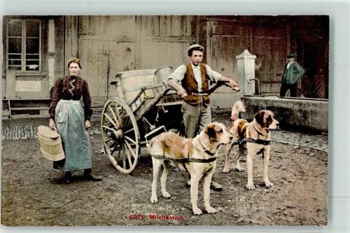Transport von Milch Beruf