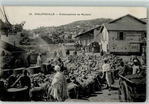 Skikda Einschiffung der Schafe