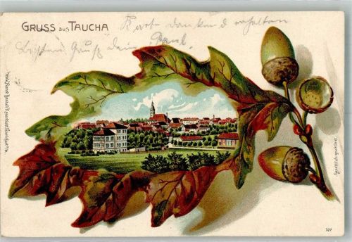 Taucha 1904 Eichenblatt Taucha