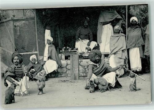 Stellingen Völkerschau aus Indien mit dressierten Affen AK