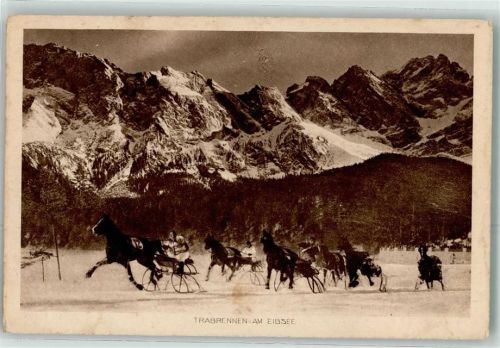 Eibsee Trabrennen Pferde Schlitten Winter Sport Schnee Zugspitze Wintersportplatz