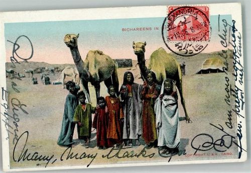 Alexandria 1906 Tracht Kinder Frau Kamel Ort lt. Stempel Briefmarke Bildseite