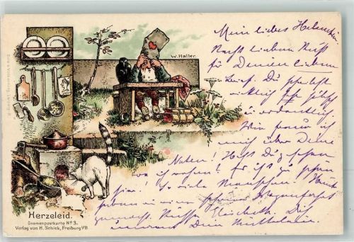 1898 Herzeleid Gnomenpostkarte Nr 3 W. Haller Katze Buch Herd Rabe