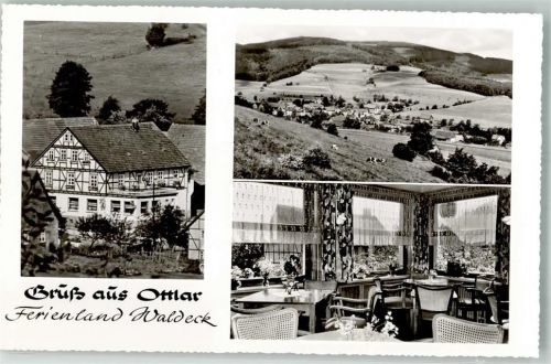 Ottlar Gasthaus Pension Ottonenhof Kühe