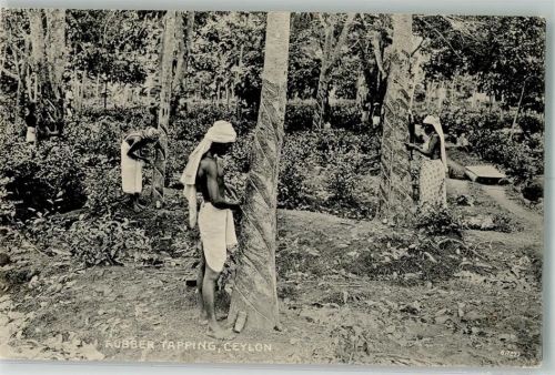 Colombo 1911 Tracht Rubber Tapping