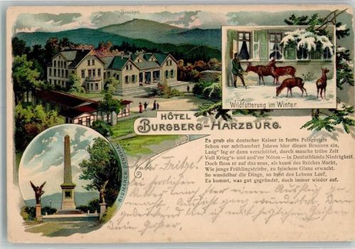 Bad Harzburg 1905 Lithographie Hotel Burgberg Bismarck Denkmal