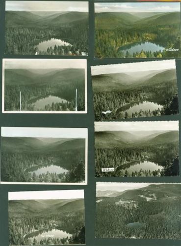 Baiersbronn Lot mit 1 AK und 9 Fotos Originale Verlag Cramer Wildsee