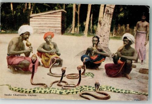 Colombo 1933 Tracht Schlangenbeschwörer