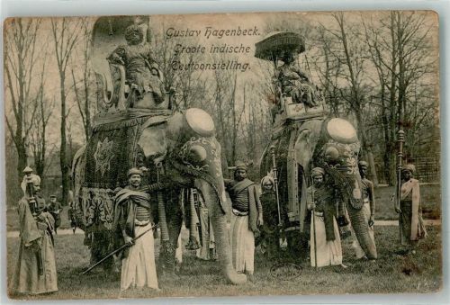 Stellingen 1906 Völkerschau Indien Elefanten