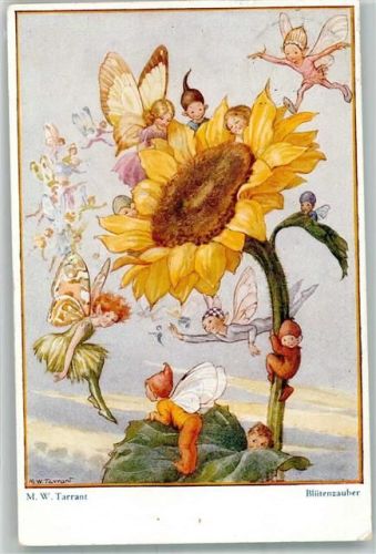 1933 sign. M.W. Tarrant Blütenzauber Elfen tummeln sich auf der Sonnenblume Primus 3430